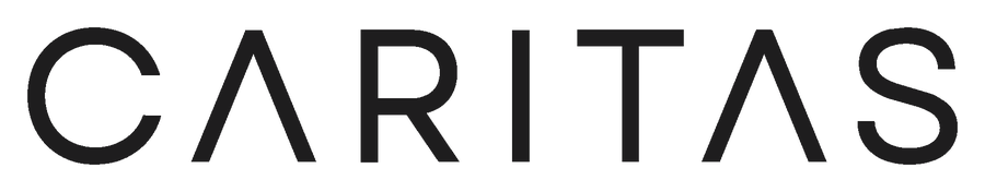 Caritas Venture Co. - AI Implementation Consulting